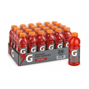 Gatorade Fruit Punch 24x591ML Bulk – Made in USA