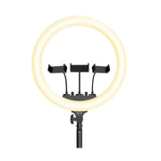 Ring Light 19 Inch 36W Professionele LED Ringlamp Rixus