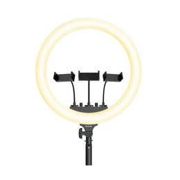 Ring Light 19 Inch 36W Professionele LED Ringlamp Rixus